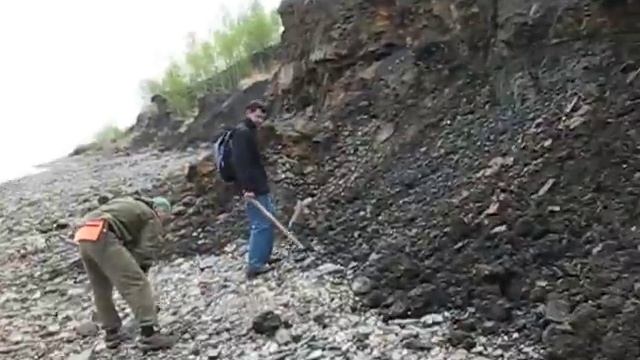 Отпечатки древних моллюсков на берегу Волги смотреть онлайн