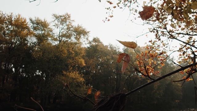 Психологический Коучинг и Развитие личности