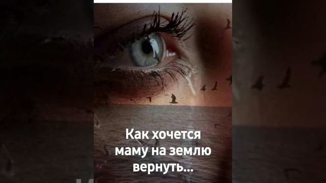 автор песни Джон Рустам "мою ни" смотреть онлайн