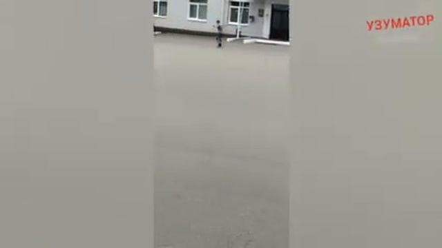 СТАЛ ПОБЕДИТЕЛЕМ НА СОРЕВНОВАНИЯХ ПО ЛЫЖЕРОЛЛЕРНОМУ КАТАНИЮ смотреть онлайн