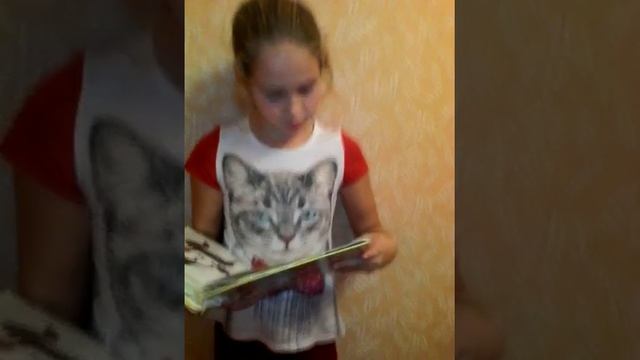 Шпиц(миниатюрный)и английский той терьер!))))) смотреть онлайн