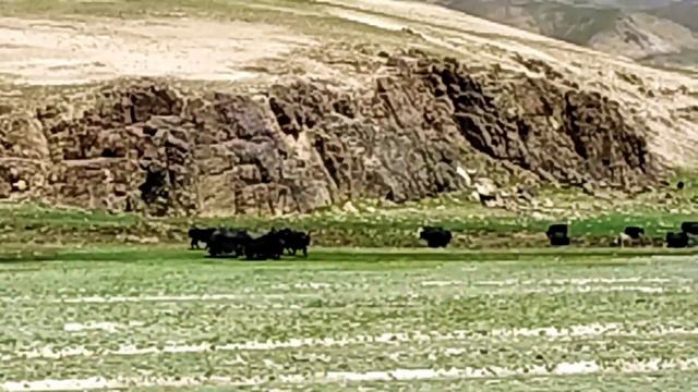 Кыргызстан: Барскоон перевал Сёёк Ашуу Суу Кара Сай Бедел Ак Шыйрак.