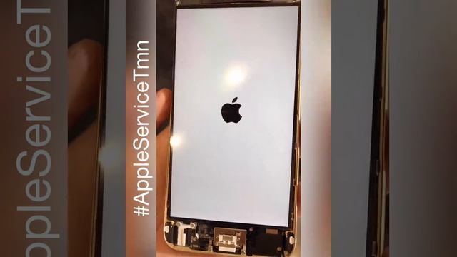 Замена Стекла Apple iPhone 6 Plus Тюмень смотреть онлайн