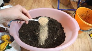 Такая посадка томатов и перца на рассаду сплошное удобство. Никаких тебе проблем с рассадой.