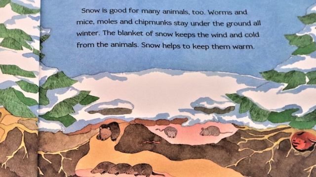 Snow Is Falling - A Read With Me Book смотреть онлайн