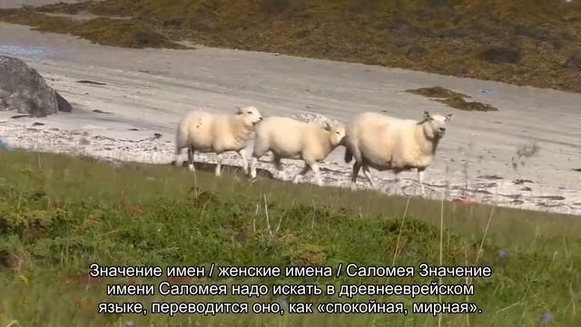 Значение имени Соломея. Толкование, судьба, характер смотреть онлайн