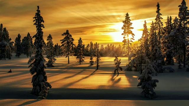 Winter . Snowfall . A Fabulous Winter ..  #snowfall #relaxingmusic #snowywinter #winter.mp4