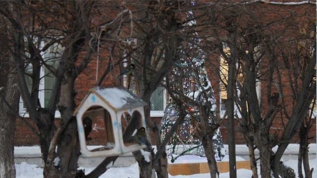 Новогоднее оформление 2023 смотреть онлайн