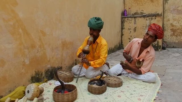 заклинатели змей