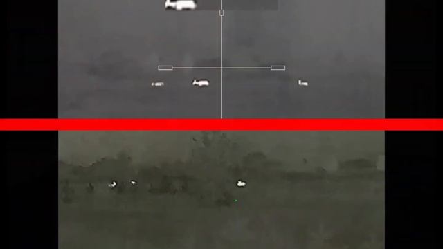 Arkon или IRay?!  Сравниваем картинку #Arkon Alfa #LT35 и IRay SCT35. Новый народный тепловизор?