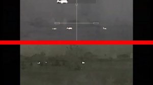 Arkon или IRay?!  Сравниваем картинку #Arkon Alfa #LT35 и IRay SCT35. Новый народный тепловизор?