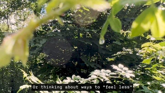 Spending a Day Alone as a Highly Sensitive Person • Slow Living Vlog смотреть онлайн