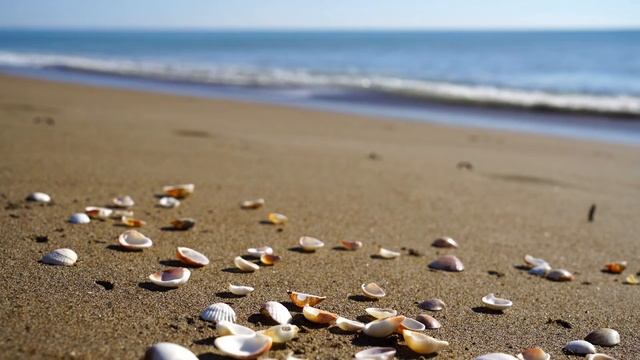 Фортепиано и Море Успокаивающая Классическая Музыка смотреть онлайн