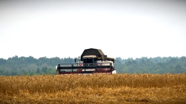 Игорь Руденя обсудил с аграриями региона развитие сельского хозяйства Тверской области смотреть онлайн
