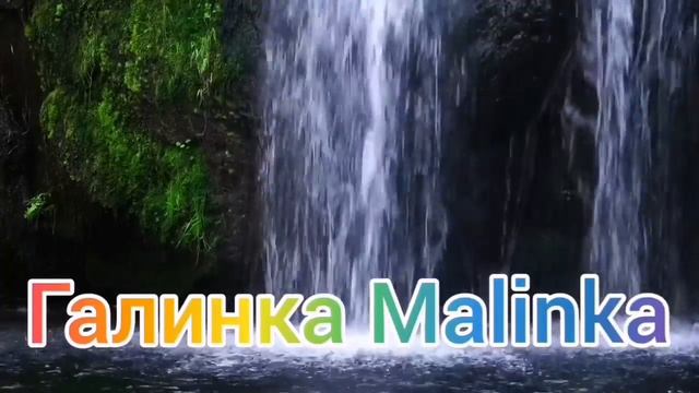 Колесниковы /Без спроса и трусов не купить/Треш Обзор /