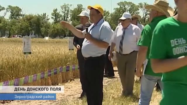 День донского поля смотреть онлайн