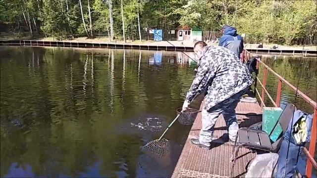 Поимки, сходы, обрывы. Рыбалка на Спорт-зоне. Клёвое место Лосиный остров. смотреть онлайн