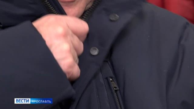 Выбираем зимний пуховик: какие модели предпочитают ярославцы и что советуют специалисты смотреть онлайн