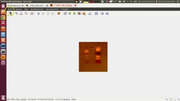 XnViewMP - просмотр и редактирование изображений