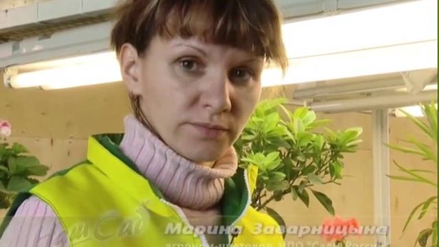 Телепрограмма Наш Сад №2 НПО "Сады России" смотреть онлайн