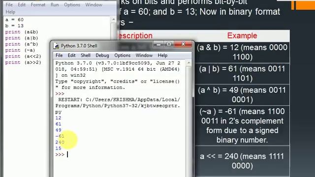 Program using Bitwise,Logical,Identity,Membership operators in Python. Part 8 смотреть онлайн