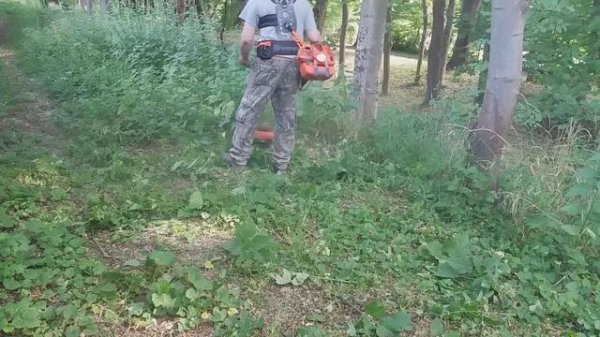 OLEO MAC 755 MASTER,próba vágás!