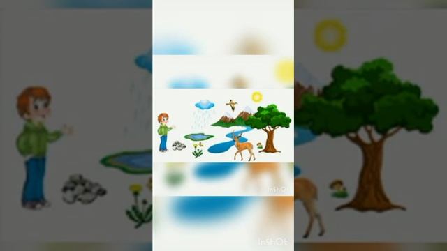 "Земля-наш общий дом" (6-7лет) смотреть онлайн