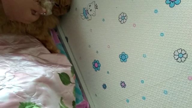 Издевательство над котом смотреть онлайн