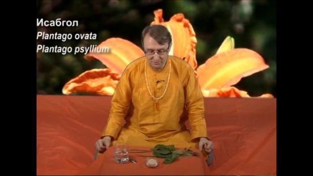Аюрведа: Сат Исабгол и кишечник (Роберт Грислис) 10 урок смотреть онлайн