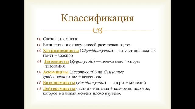 Грибочки смотреть онлайн