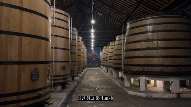 Sub)??포르투 여행 vlogㅣ명품의류 화보 촬영 여행!! 4박5일 포르투 여행ㅣ FarfechㅣBrownsfashionㅣ광고 촬영ㅣ포르투 예고편ㅣ포르투 4인 가족여행 смотреть онлайн