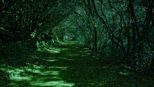 1 Hour Sleep and Meditation Music Fall Asleep смотреть онлайн