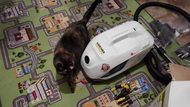 Клякса забыла Рыжего, она теперь Шамаханская царица. смотреть онлайн