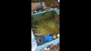 «Дождливость». Романс на стихи Влада Красноярского