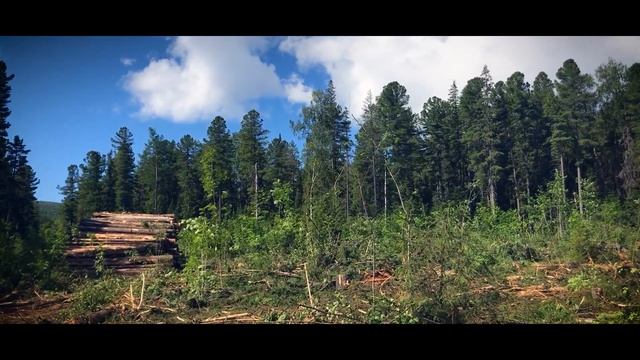 Собственное Качканарское Месторождение. Выпуск ко Дню Металлурга (Выпуск #6) смотреть онлайн