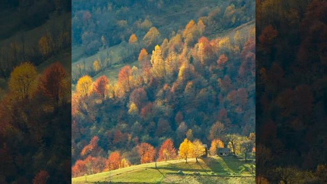 Урман. Мәҗит Гафури смотреть онлайн