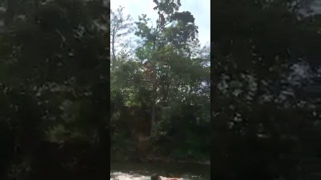 terjola-ciskarauli смотреть онлайн