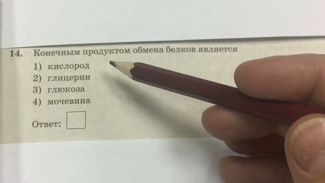 ОГЭ.БИОЛОГИЯ. 14 задание, разбор