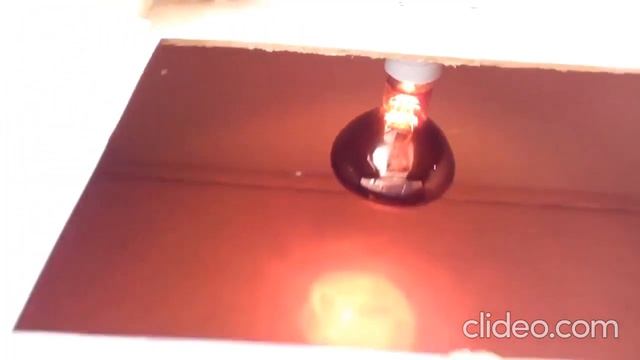 Брудер из коробки