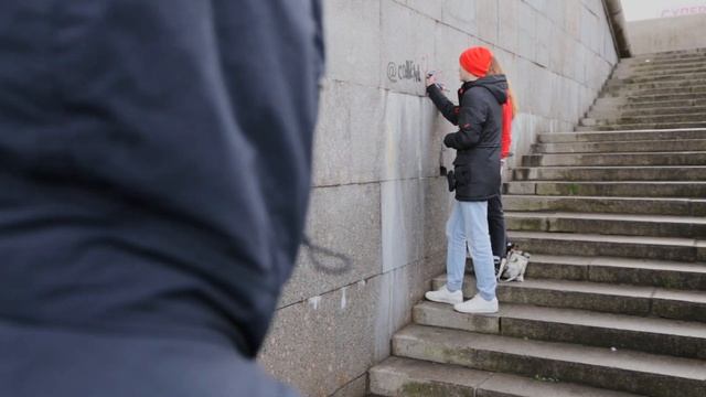 Социальная видеореклама «Котики» смотреть онлайн