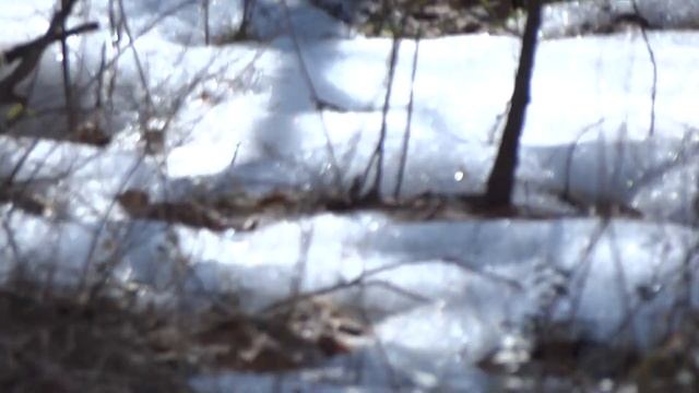 Баня 2 часть #Баня # Тайга #Сибирь #Бушкрафт баня , баня в лесу, лес смотреть онлайн