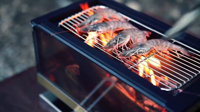 BONO - All in one wood pellet stove смотреть онлайн