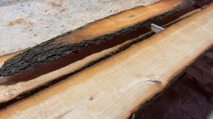 Брёвна Ольхи и сосны в чём разница!?