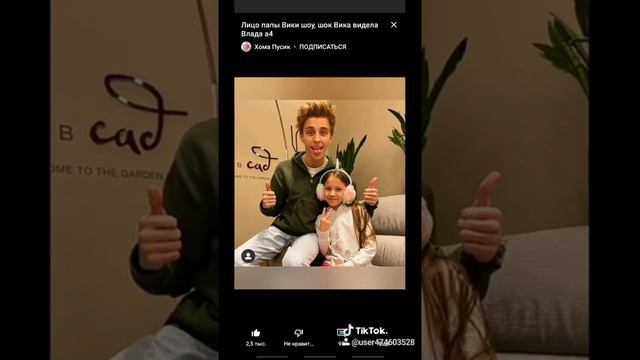 А4  и вики  шоу