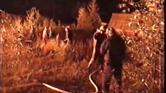 Весьегонск. пожар в дер. Противье.avi смотреть онлайн