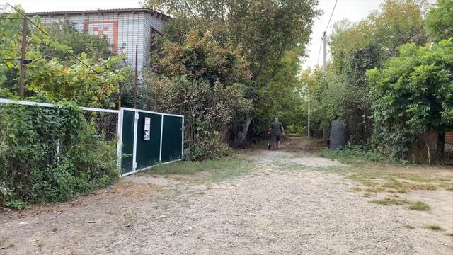 Бельгийская овчарка, будни дрессировки Каспер 4 месяца! смотреть онлайн