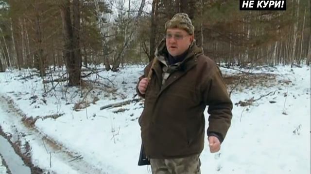 Загонная охота на кабана. Добываем кабана . 2018 смотреть онлайн