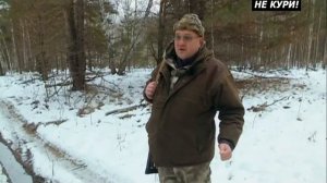 Загонная охота на кабана. Добываем кабана . 2018