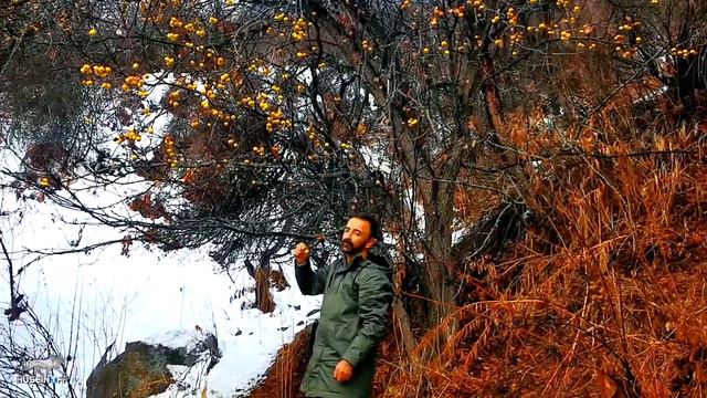 Казахстан. Аксайское Ущелье - это уникальный уголок первозданной природы возле Алматы. смотреть онлайн