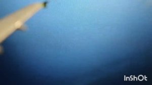 Перелёт а/к S7 Savelii Airlines Airbus A320 Баку -Савелий